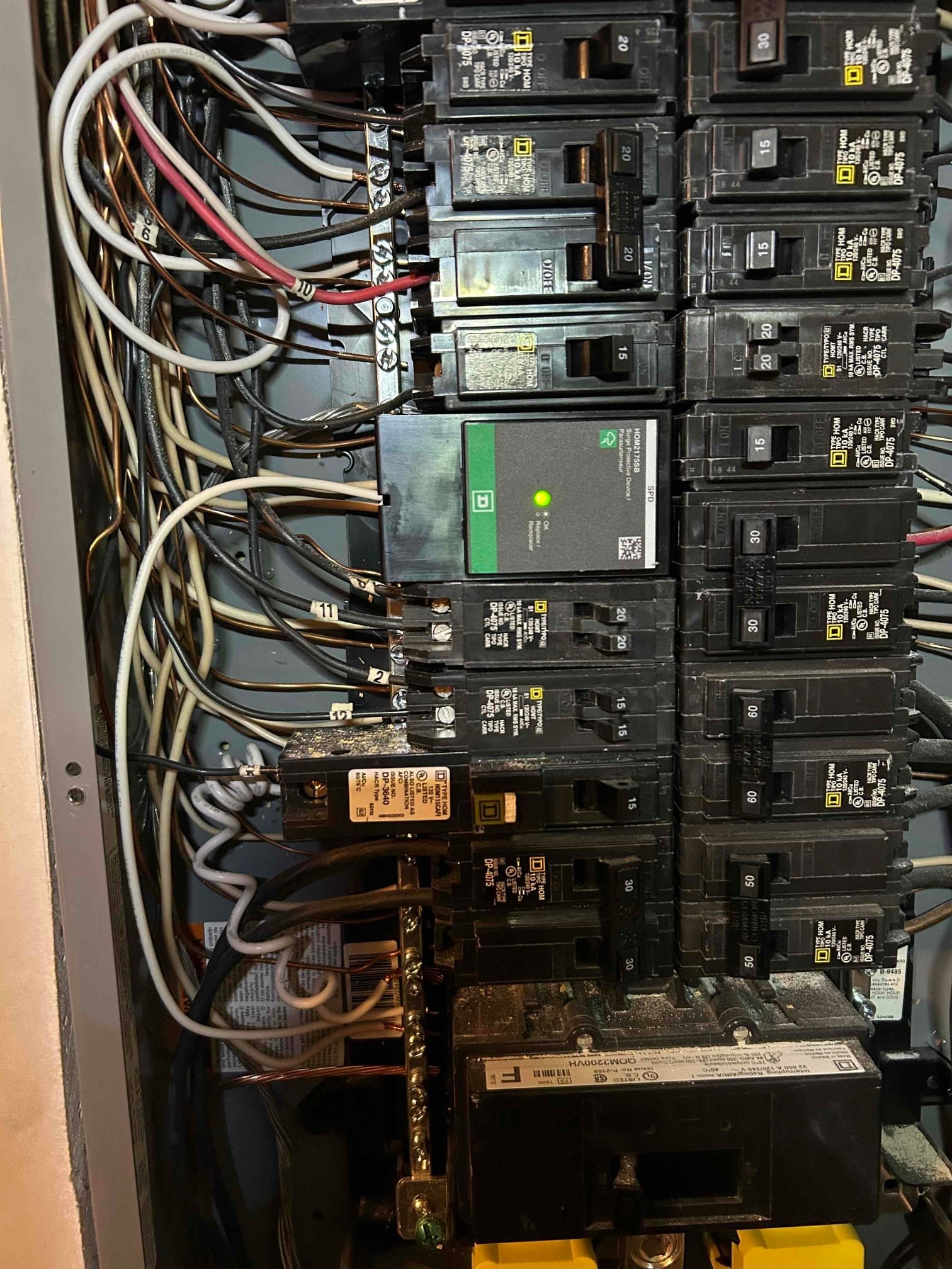 Professional Whole-House Surge Protection Installation in Cary, NC