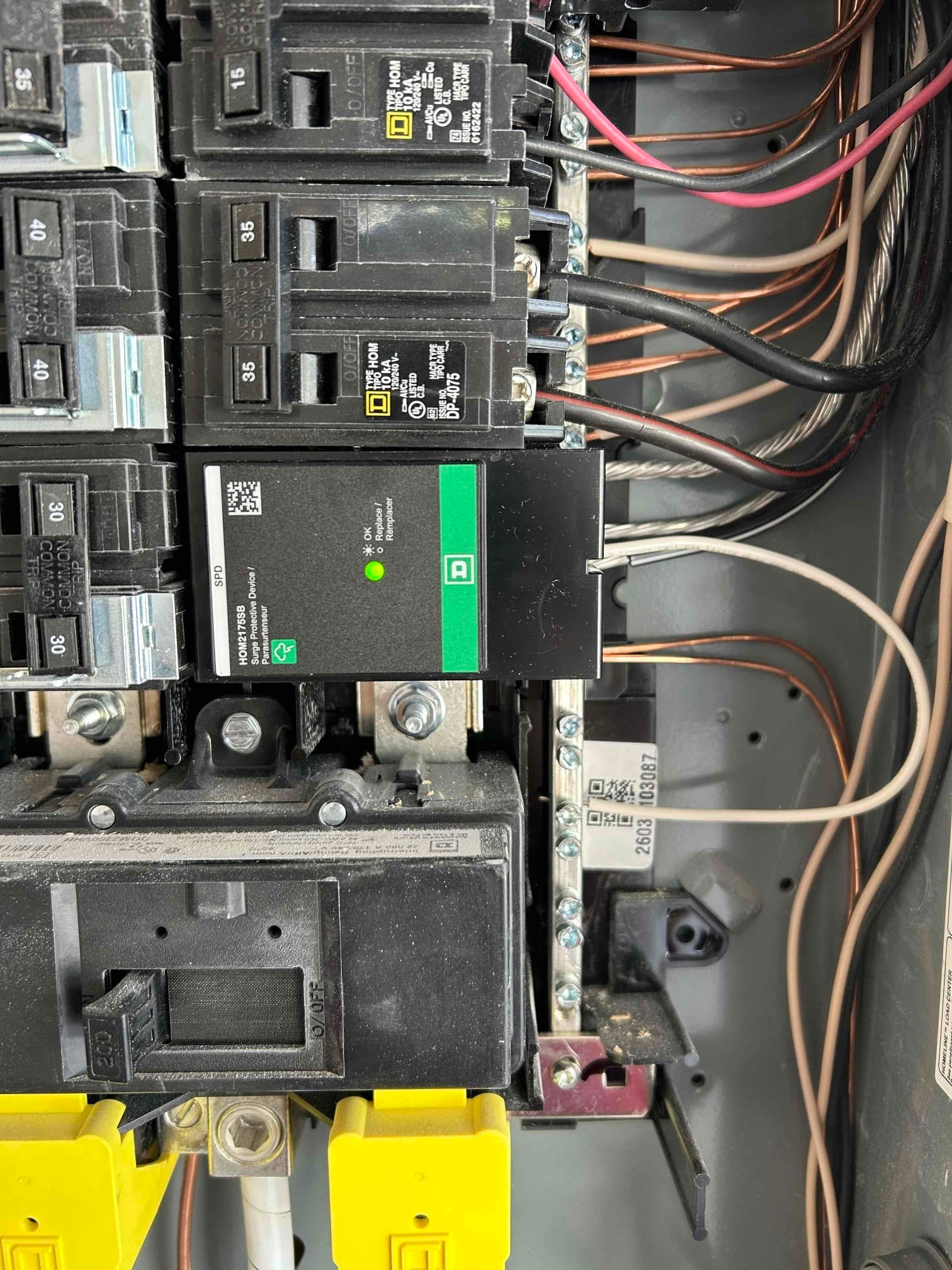 Whole-Home Surge Protection Installation in Wendell, NC